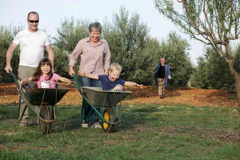 Die Familie Puhar O´Grady in Vodnjan erzeugt einzigartige und prämierte Olivenöle