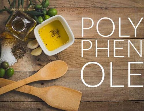 Polyphenole: Wundersubstanzen im Olivenöl?